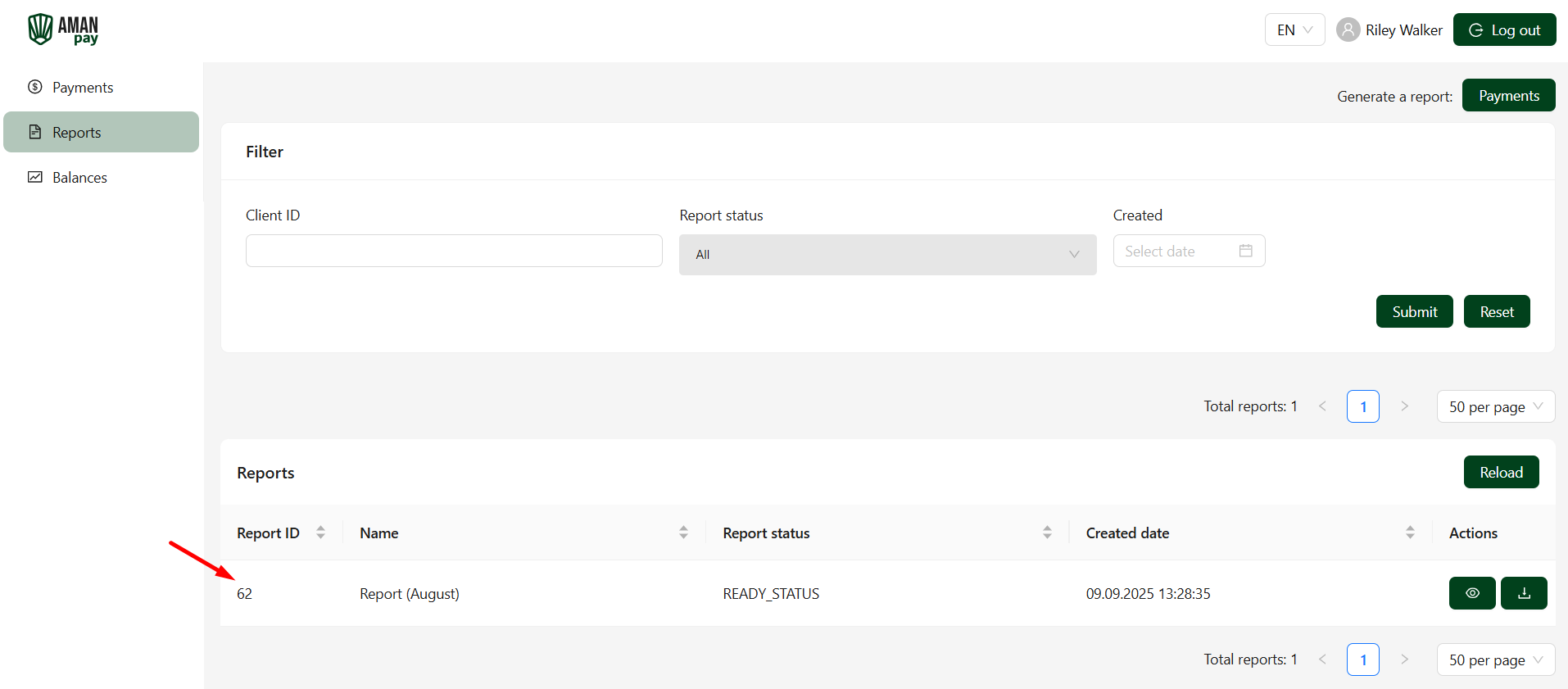 en_amn_db_reports_completed_report.png